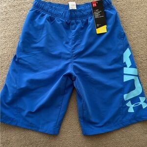 Under Armour Royal Blue Training Shorts